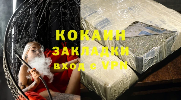 твердый Ладушкин