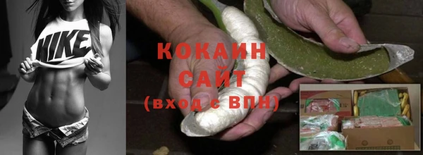 твердый Ладушкин