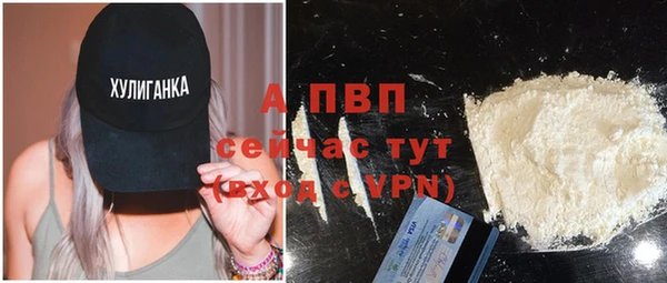 твердый Ладушкин