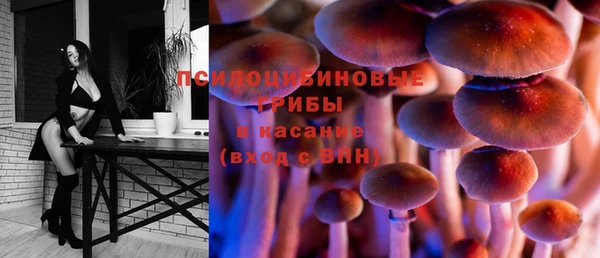 твердый Ладушкин