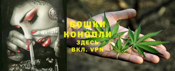 твердый Ладушкин
