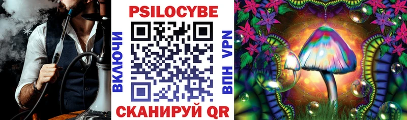 Псилоцибиновые грибы MAGIC MUSHROOMS  как найти наркотики  Череповец 